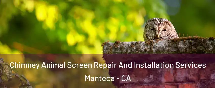  Chimney Animal Screen Repair And Installation Services Manteca - CA