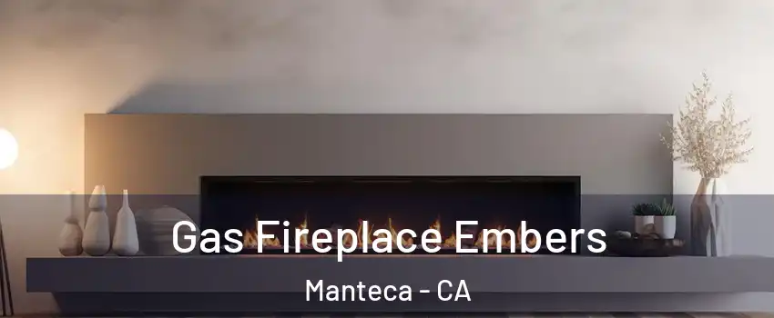  Gas Fireplace Embers Manteca - CA