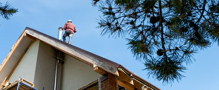 Birds Removal Contractors from Chimney in Manteca, CA