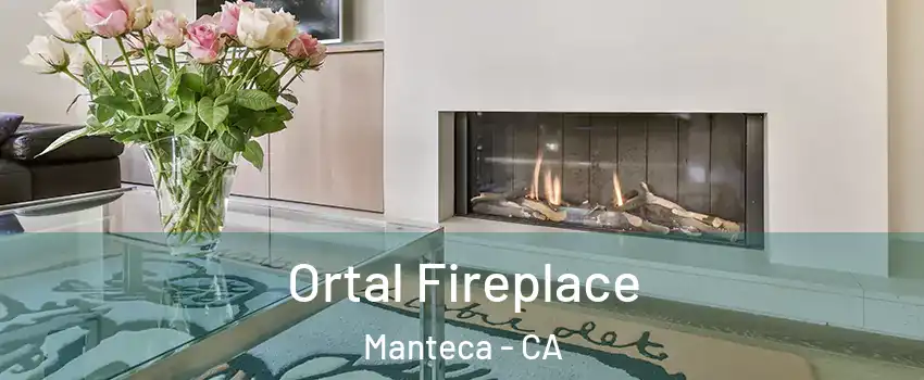  Ortal Fireplace Manteca - CA